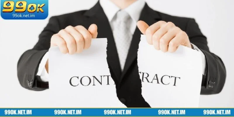 Giao diện hiển thị rõ ràng các điều khoản miễn trừ trách nhiệm